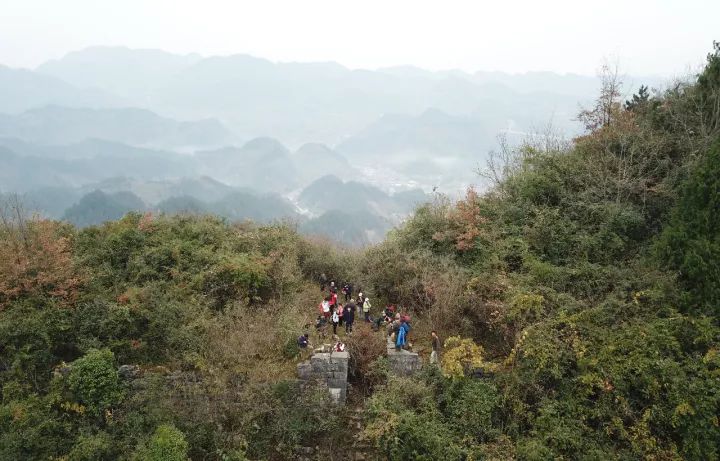 1513063406378249.jpg 1.jpg