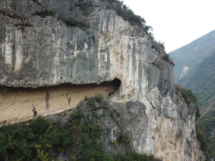 1513063448152934.jpg 3.jpg